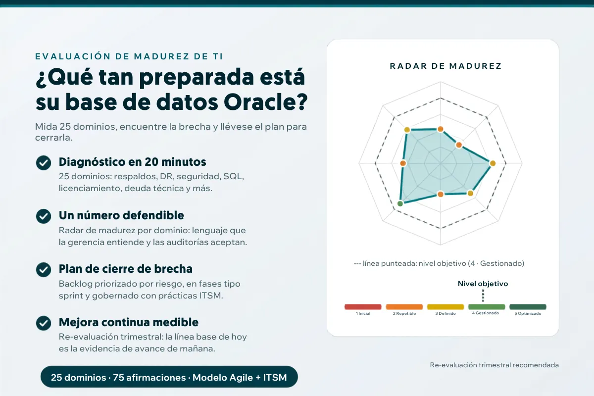 Guía de Evaluación de Madurez de Base de Datos y su Infraestructura